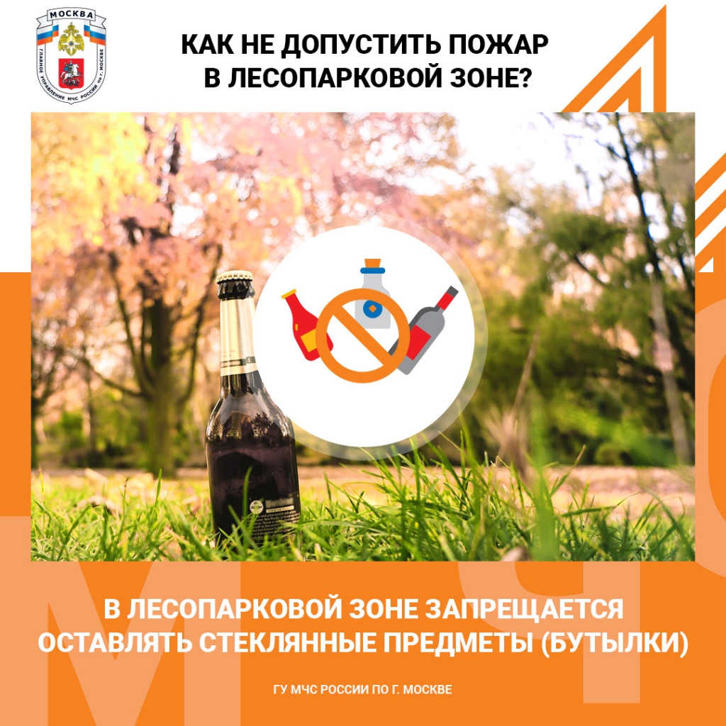 Лес_,бутылки.jpg