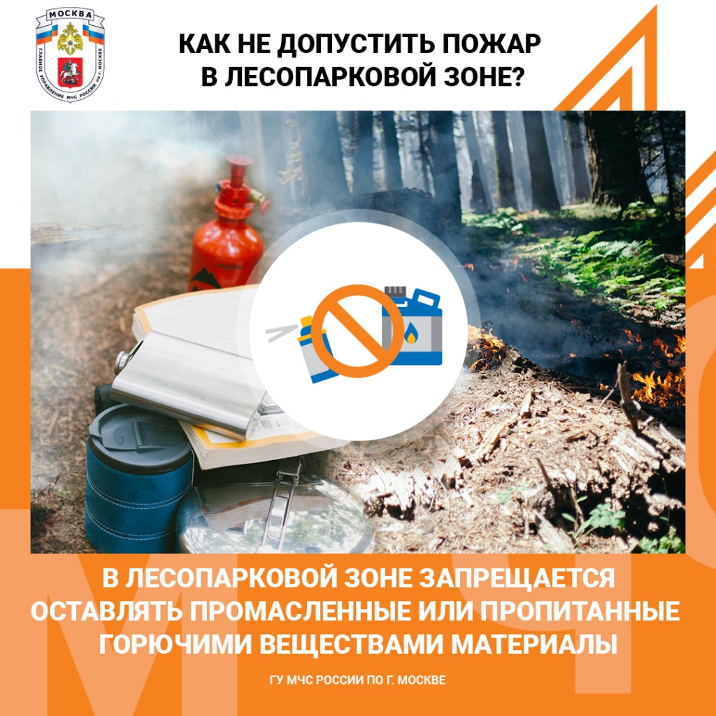 Лес_горючее.jpg