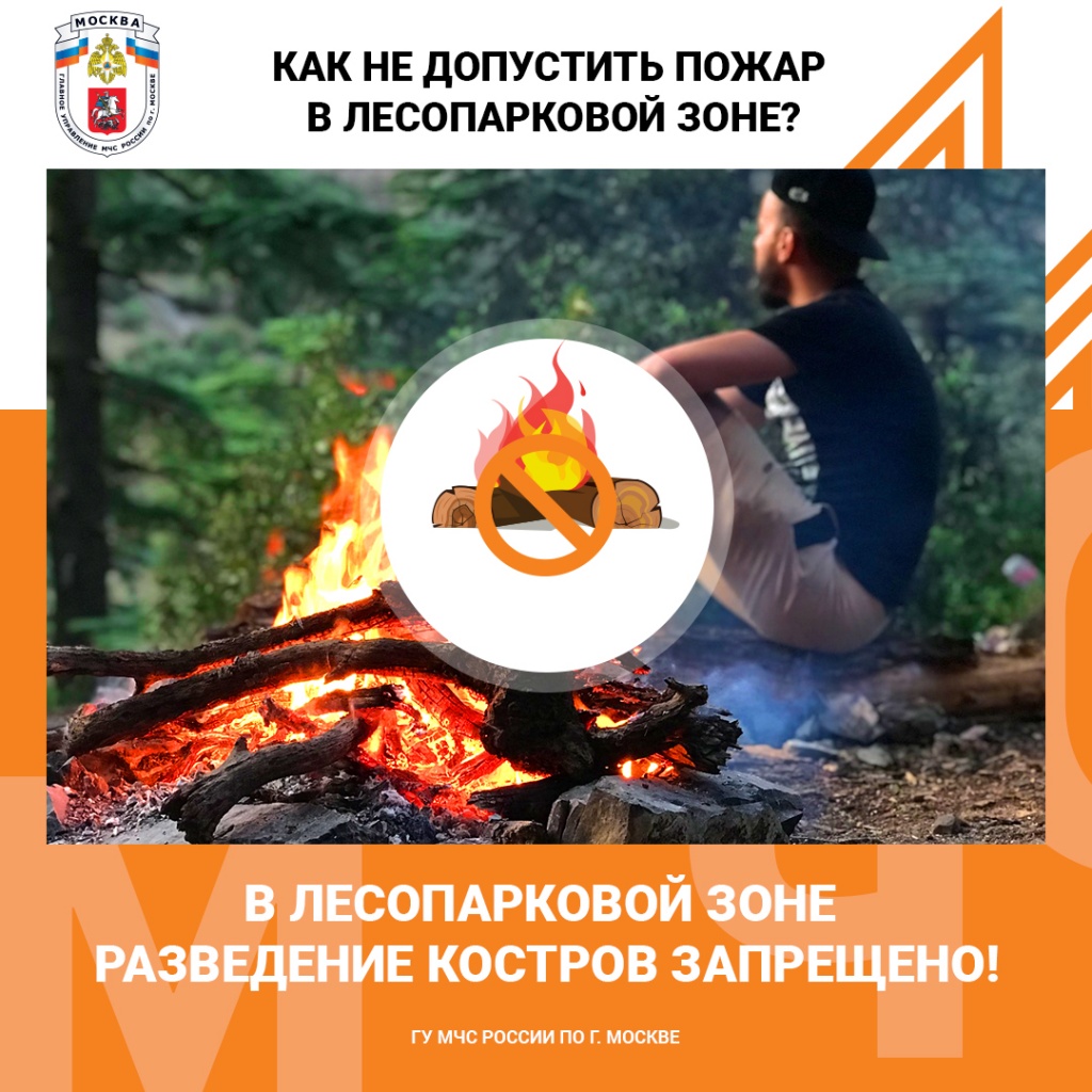 Лес_костер.jpg